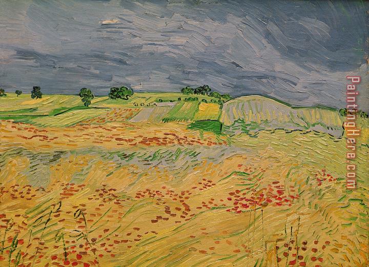 Vincent van Gogh Plain At Auvers